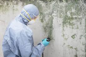 Best HVAC Mold Inspection and Cleaning in Hutchison, VA